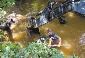 Brandon removing dogs